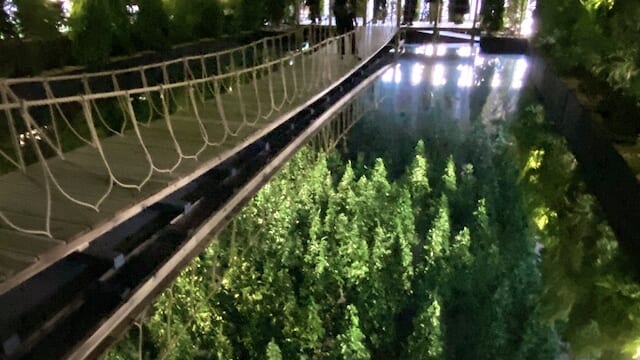 【岡山1泊2日モデルコース】幻のブランド牛“千屋牛”と「森の芸術祭 晴れの国・岡山」を満喫!アート&映え体験旅 | TABIZINE~人生に旅心を~ 【岡山1泊2日モデルコース】幻のブランド牛“千屋牛”と「森の芸術祭 晴れの国・岡山」を満喫!アート&映え体験旅 | TABIZINE~人生に旅心を~