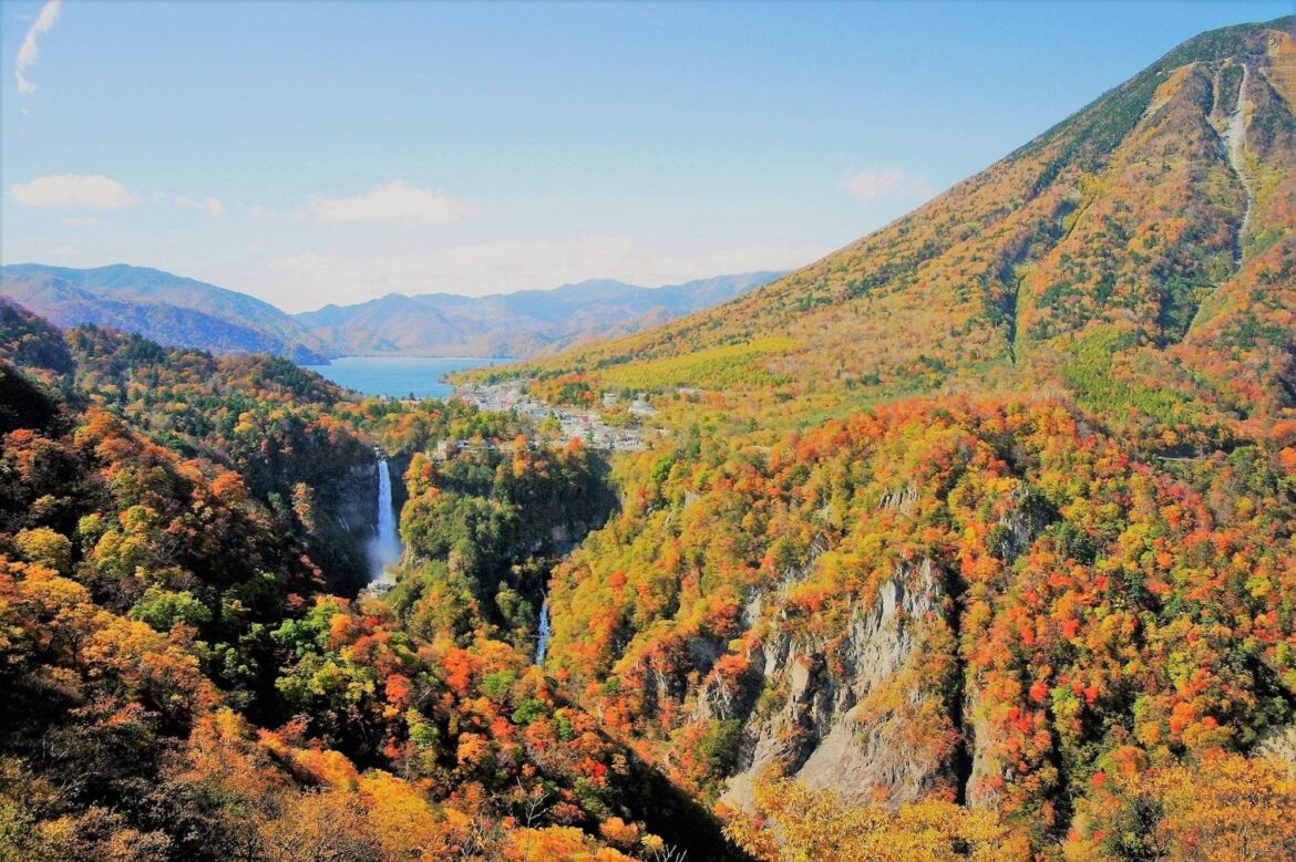 渋滞を避けて早朝の奥日光の紅葉を楽しむ「SPACIA X NIKKO CRUISERが紡ぐ早朝紅葉鑑賞の旅」を発売します | 東武鉄道株式会社のプレスリリース