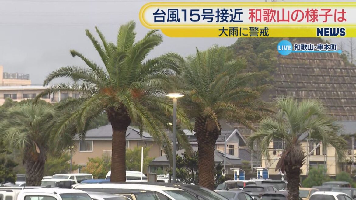 共有