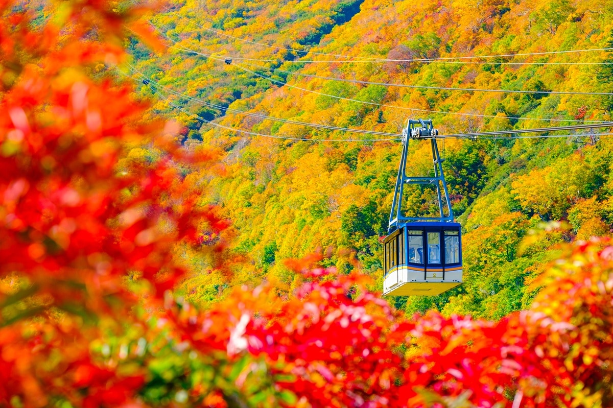 好き&行ってみたい「北アルプス・上信越の山」ランキング