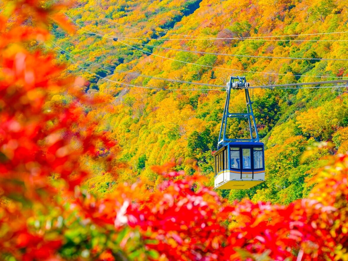 好き&行ってみたい「北アルプス・上信越の山」ランキング! 2位「立山(富山県)」を抑えた1位は?【2025年調査】 – All About ニュース 好き&行ってみたい「北アルプス・上信越の山」ランキング! 2位「立山(富山県)」を抑えた1位は?【2025年調査】 - All About ニュース