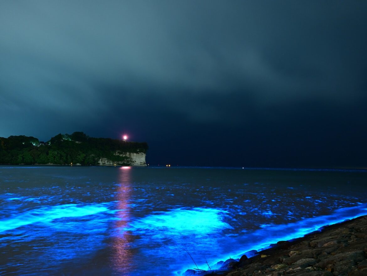 好き＆行ってみたい「富山県のお月見スポット」ランキング！ 2位「氷見海岸」、1位は？【2025年調査】 - All About ニュース