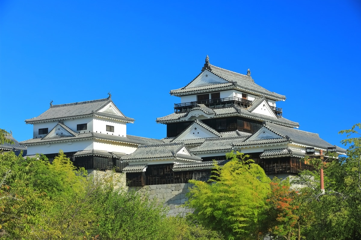 「ナンバープレートにしたい」と思う愛媛県の地名ランキング