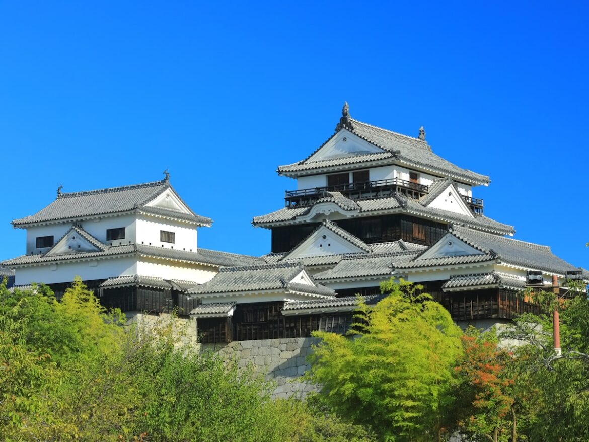 「ナンバープレートにしたい」と思う愛媛県の地名ランキング！ 2位「松山市」を抑えた1位は？【2025年調査】 - All About ニュース