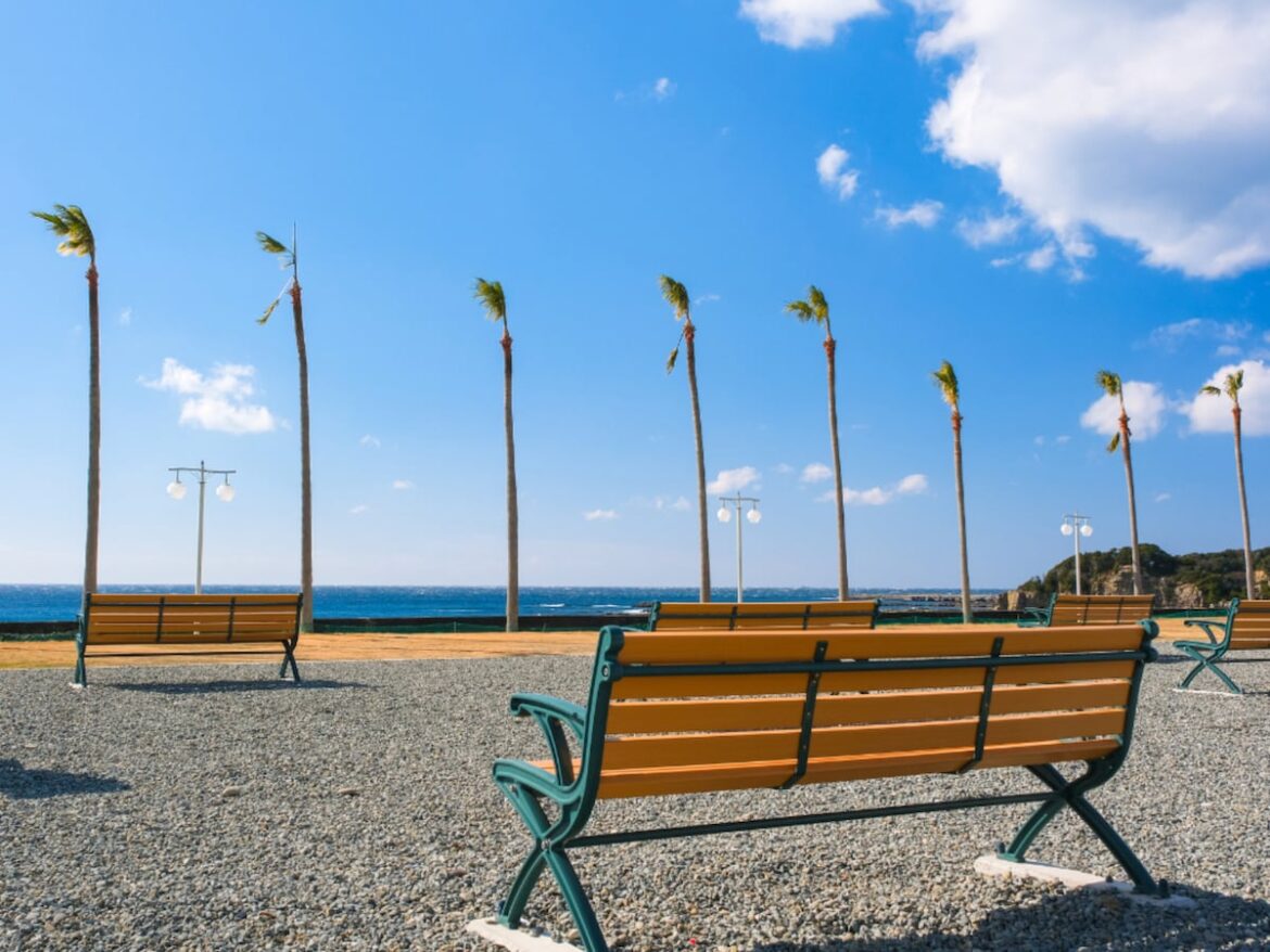 絶景が楽しめると思う「和歌山の道の駅」ランキング！ 「志原海岸」を僅差で抑えた1位は？【2025調査】 - All About ニュース