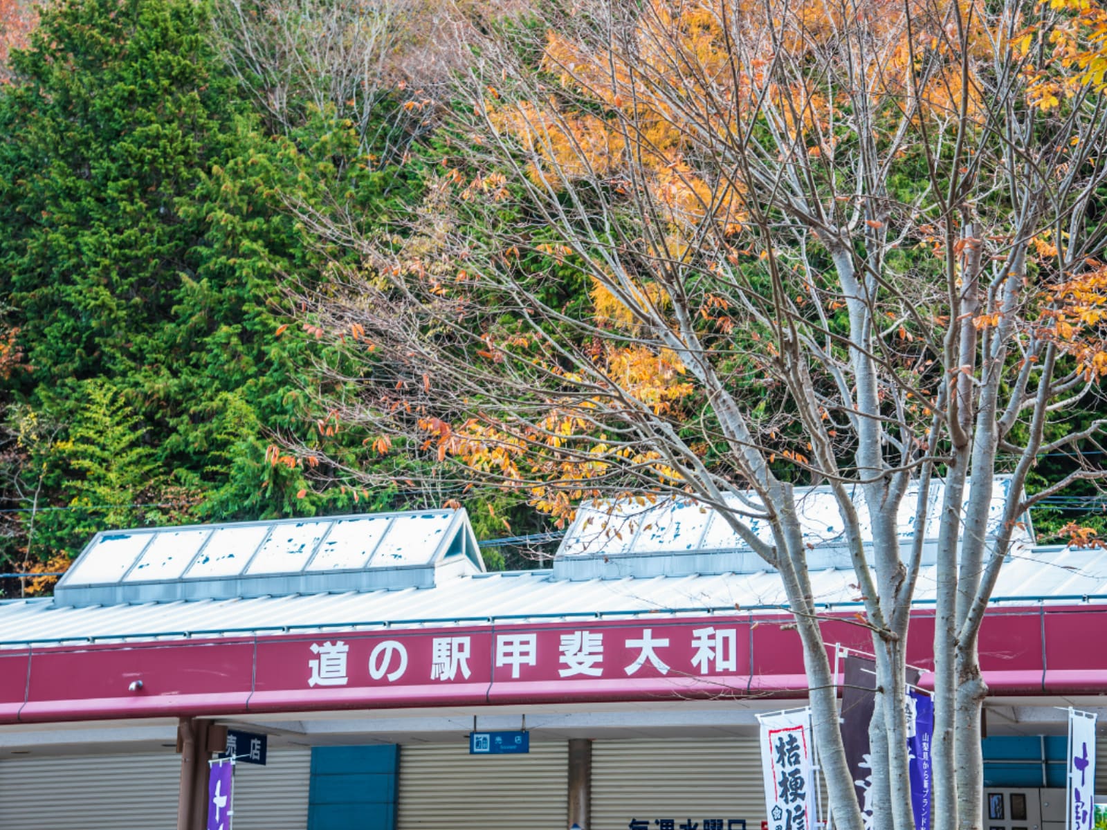 お土産が充実していると思う「山梨県の道の駅」ランキング