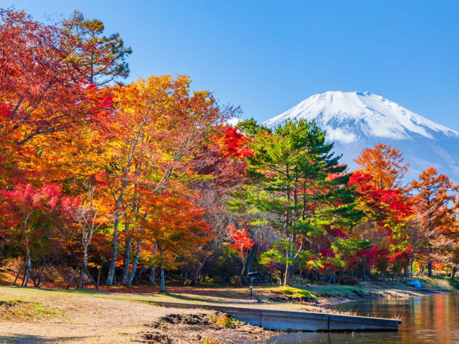 「山梨県（富士五湖・甲府・山梨エリア）の温泉地」ランキング