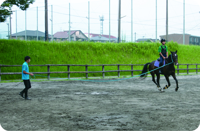 熊本県立翔陽高等学校 馬術部 「自分で馬を調教し練習して、その成果を見せられるところが面白い」【Spotlight VOL.66 】