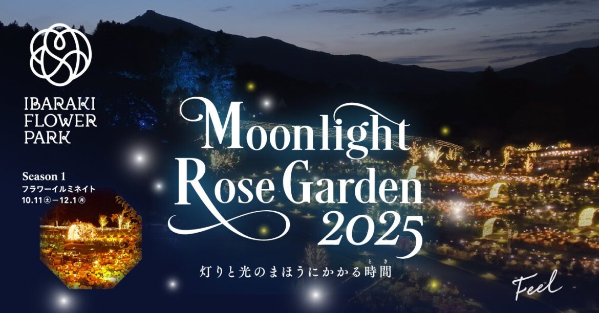 【茨城県】まるで魔法の世界！800品種の秋バラが輝く「Moonlight Rose Garden」がいばらきフラワーパークで開幕！ - ラブすぽ