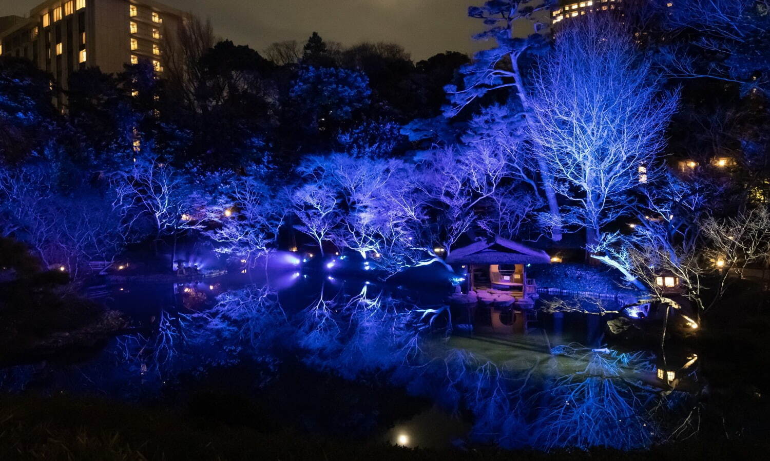 関東の冬おでかけイベント【2024-25年】入場無料のイルミネーションなどデートや日帰り旅行に | 写真