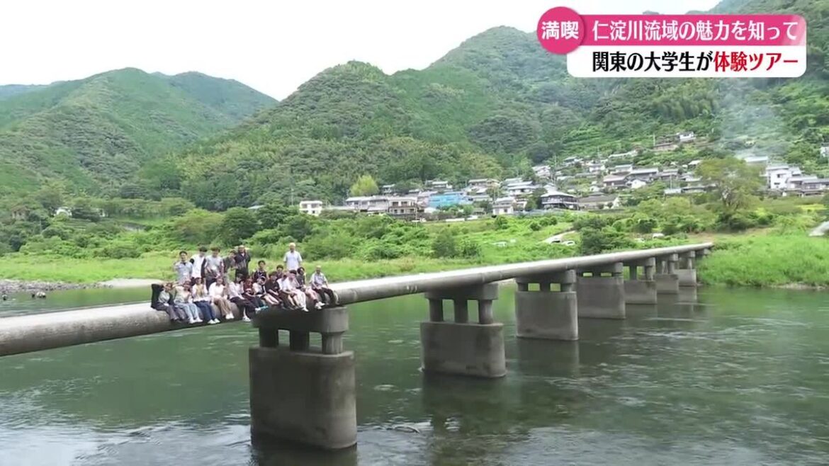共有