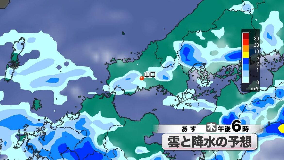共有
