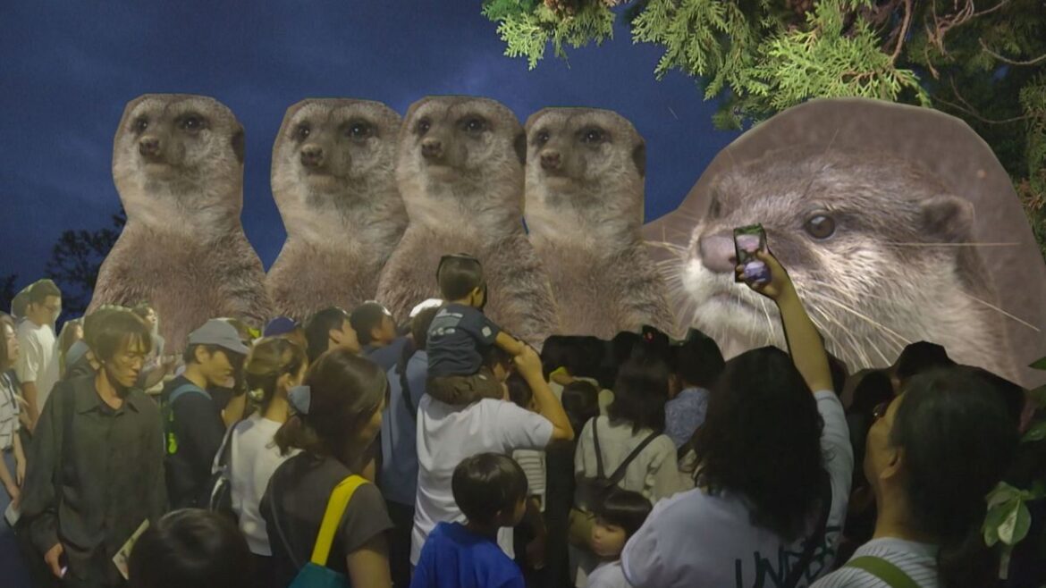 共有