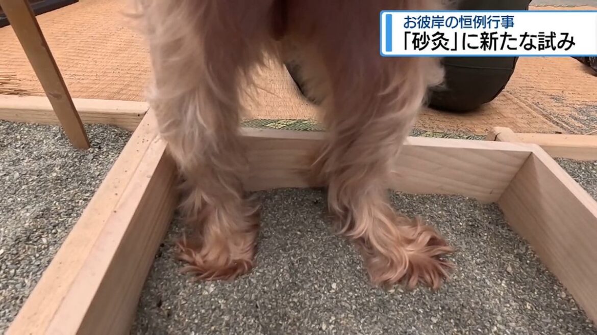 共有