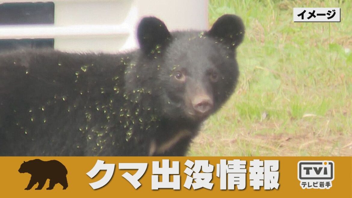 共有