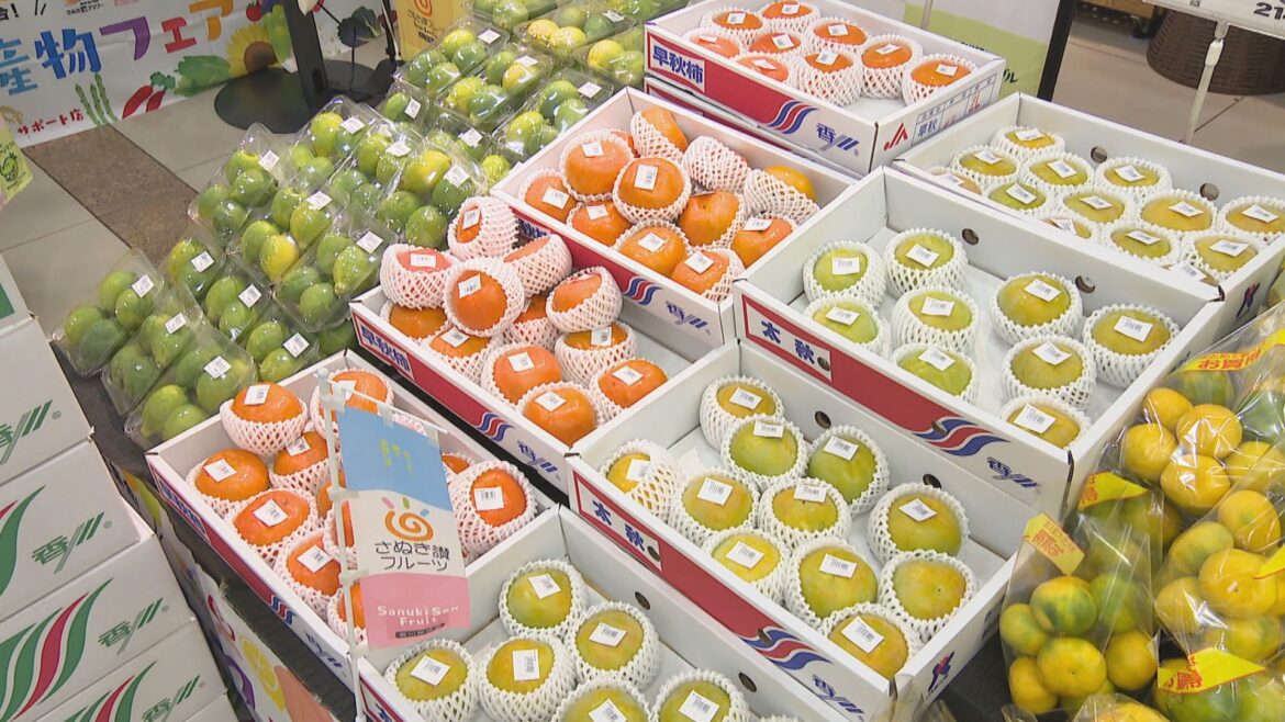 旬の野菜と果物が大集合　農産物フェアにぎわう　香川 | KSBニュース | KSB瀬戸内海放送