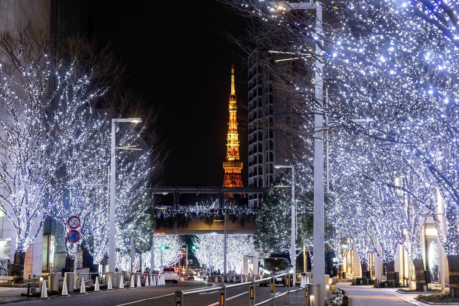 【東京・六本木ヒルズ】けやき坂イルミネーション＆クリスマスマーケット