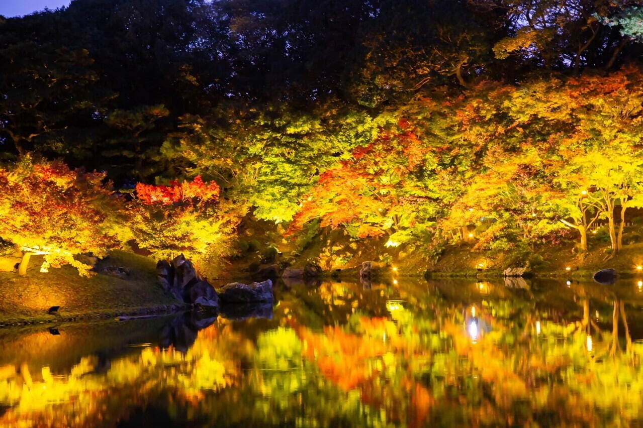 香川県の特別名勝「栗林公園」紅葉ライトアップ、幻想的な湖の水面＆夜間限定の周遊和船も｜写真3