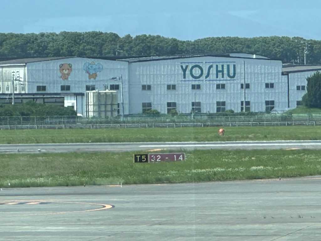 松山空港の滑走路越しの遠くの建物にうっすらみきゃん