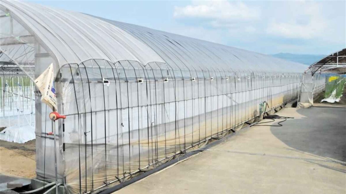 農林水産関連の被害拡大 熊本・記録的大雨 県やJA、営農再開などへ支援策 - 熊本日日新聞社
