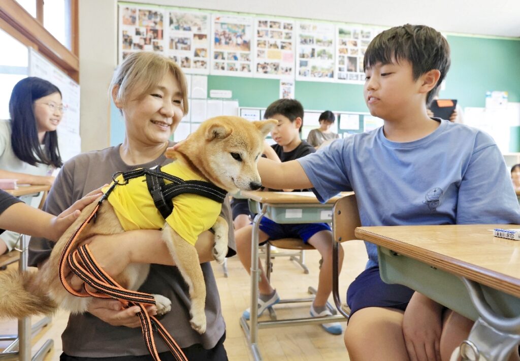 動物愛護と共生へ「命の授業」が15年に　大分県内の殺処分減少、犬猫譲渡も進む - 大分のニュースなら 大分合同新聞プレミアムオンライン Gate