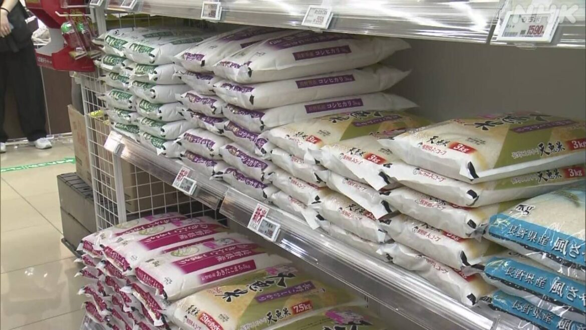 各地で新米の販売はじまる 価格は 卸売業者は - nhk.or.jp
