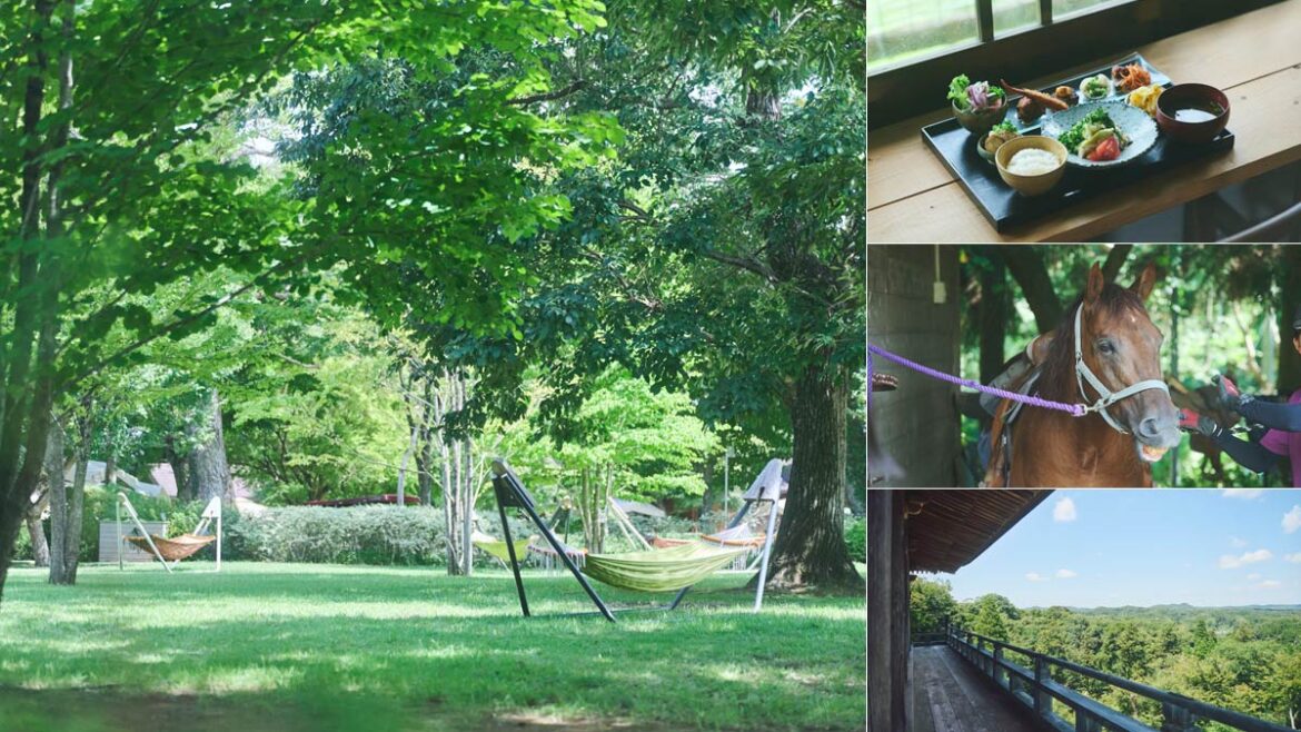 週末、千葉で。＃チバケーション　身も心も癒される、ウェルネスリゾートへ - OZmall