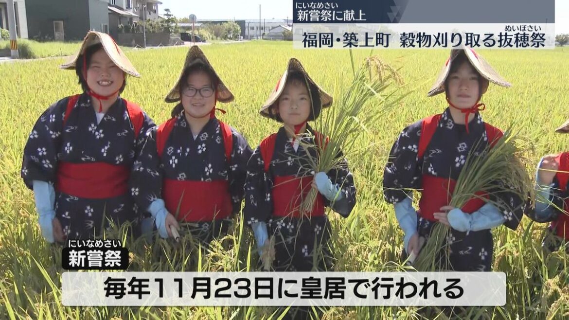 共有