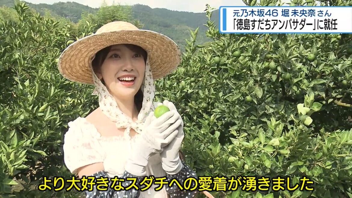 共有