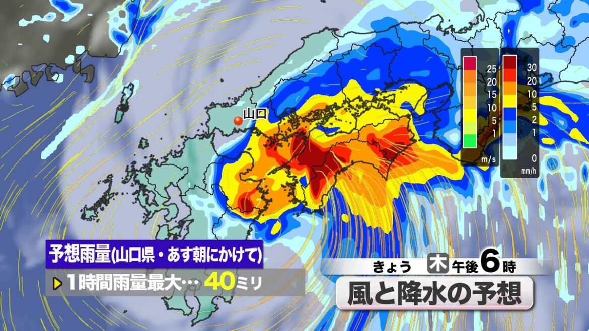 共有
