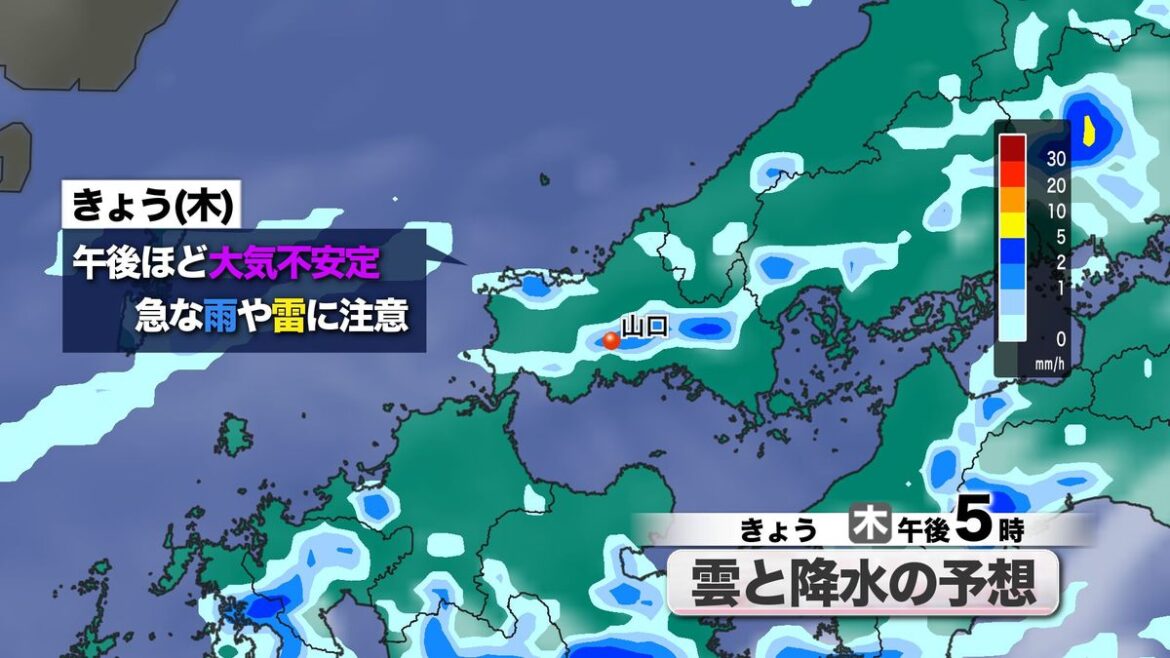 共有