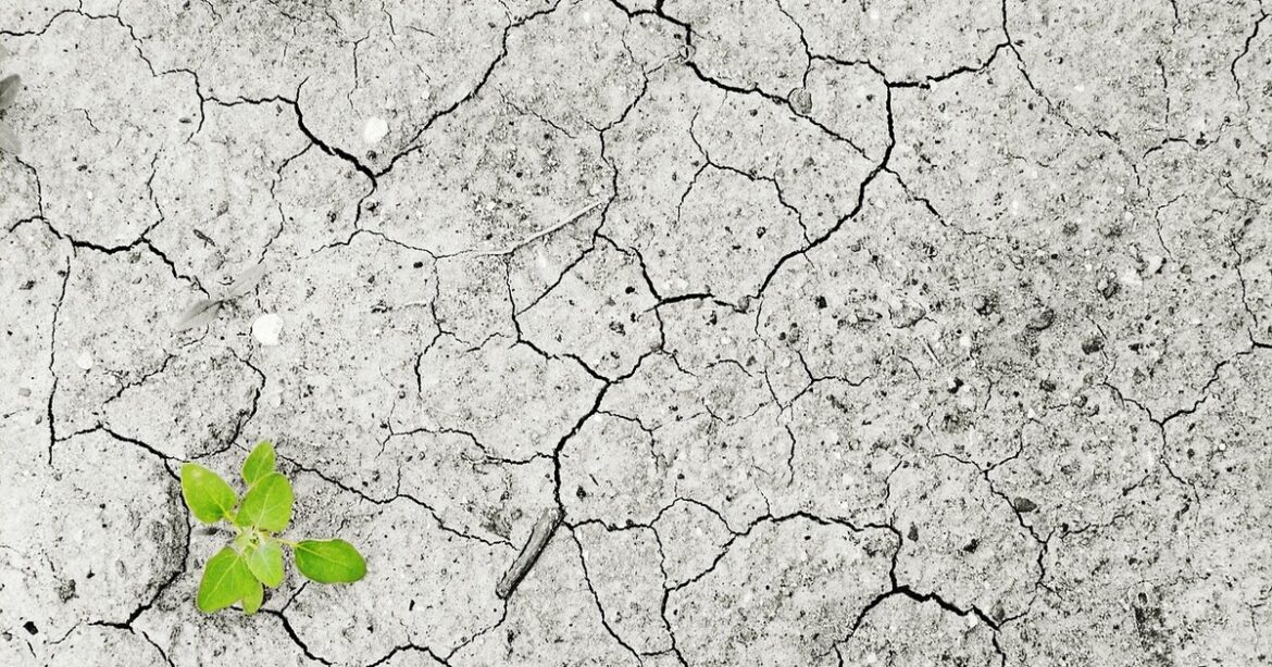 S. Korea: Ten South Korean companies caused $119.6 billion in heatwave losses, with POSCO and KEPCO leading emissions, report finds