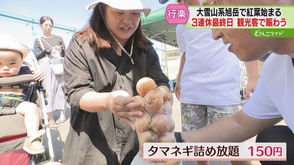 共有
