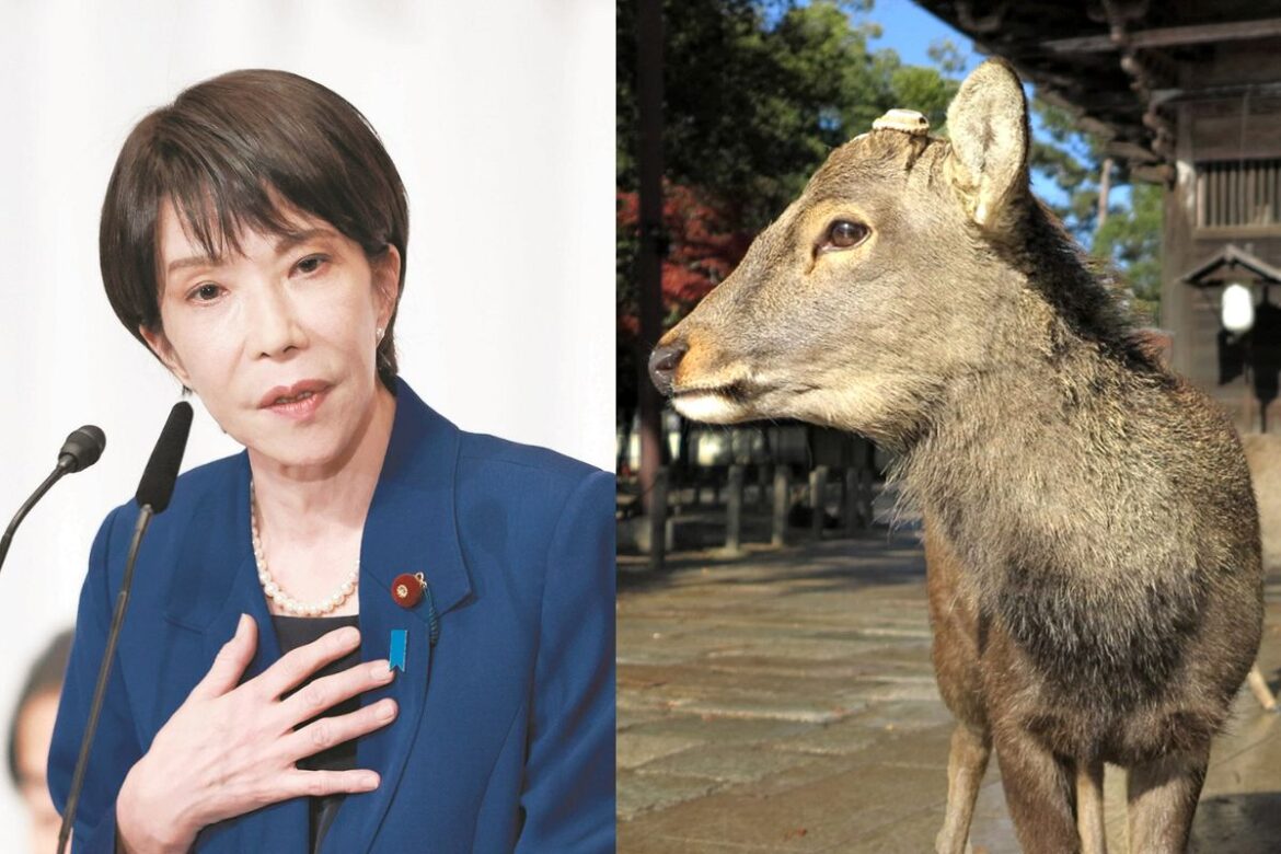 高市早苗氏「外国人が奈良公園のシカ暴行」 突然の主張はどうして？ 急伸した政党に乗っかったとの見方も：東京新聞デジタル - 東京新聞デジタル