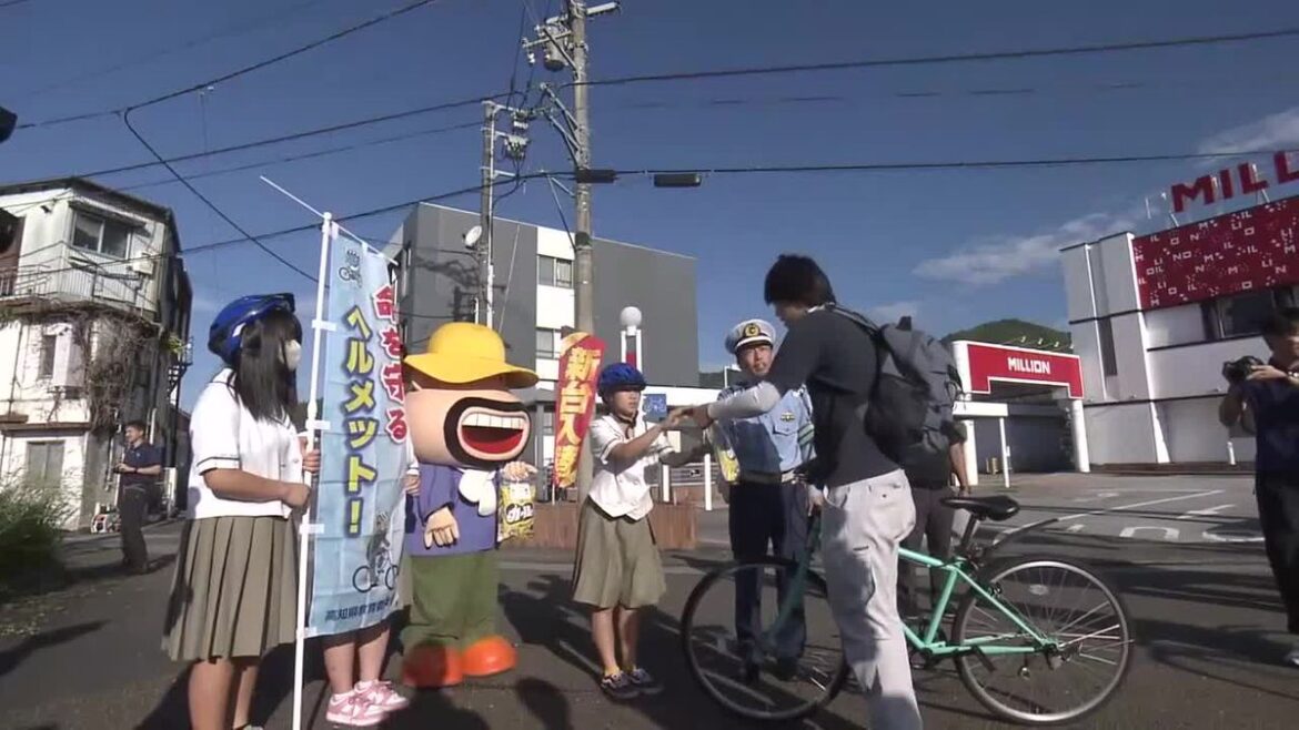 共有