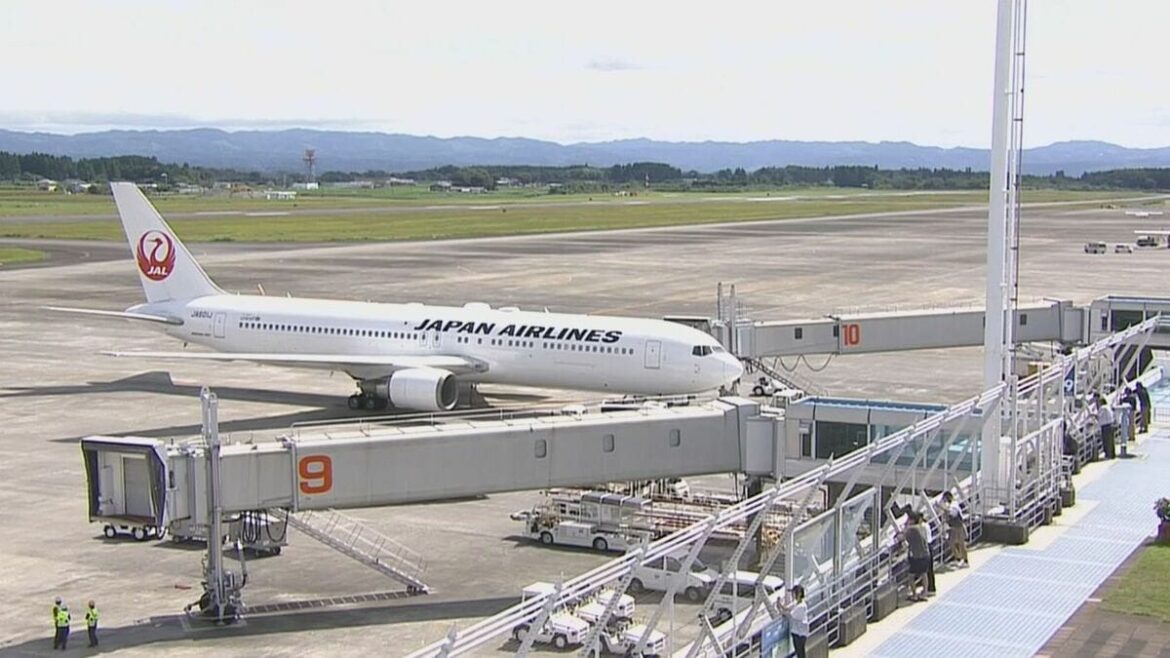 出発前のJAL機内から煙 乗客236人全員が避難 鹿児島空港でトラブル - TBS NEWS DIG