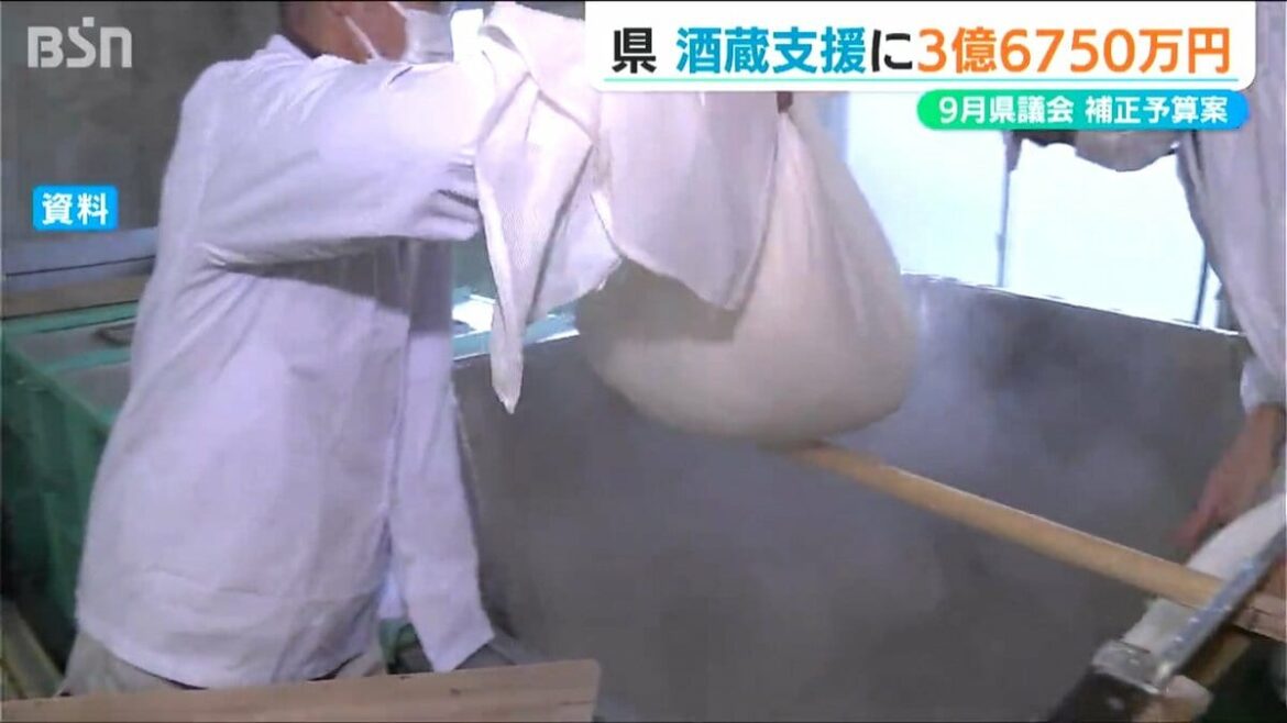 酒蔵を支援へ『酒米購入費用の一部補助』3億6750万円を計上 新潟県議会 9月補正予算案 | 新潟のニュース・天気｜BSN NEWS｜BSN新潟放送 - TBS NEWS DIG