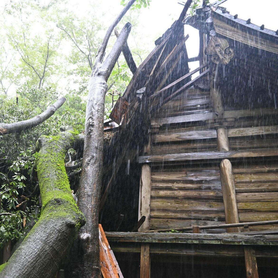 ３日の突風・大雨、農業被害２億2300万円 栃木県が発表 小山や真岡など 農産物やハウス、神社本殿も損壊｜下野新聞デジタル - 下野新聞社