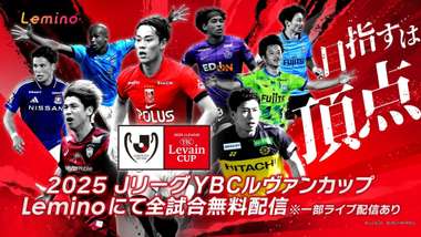 lemino levain cup