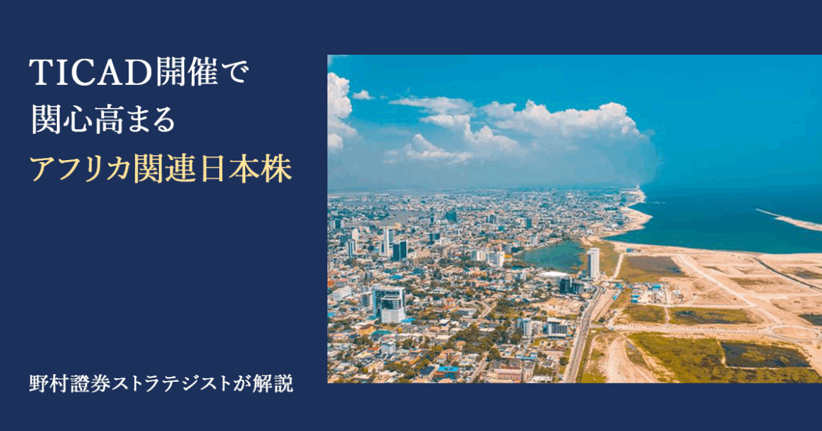 TICAD開催で関心高まるアフリカ関連日本株 野村證券ストラテジストが解説 | NOMURA ウェルスタイル – 野村の投資&マネーライフ TICAD開催で関心高まるアフリカ関連日本株 野村證券ストラテジストが解説 | NOMURA ウェルスタイル – 野村の投資&マネーライフ