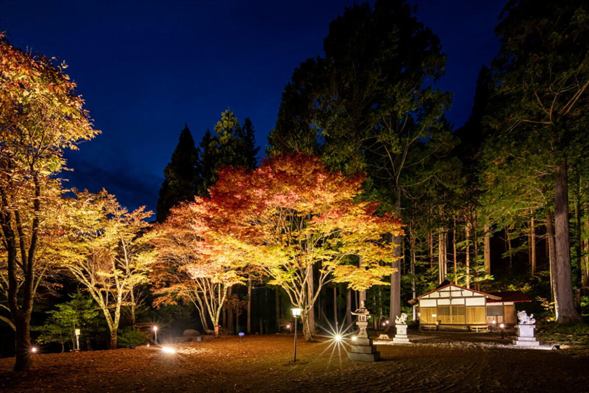 【岐阜県高山市】奥飛騨温泉郷の紅葉ライトアップが10月1日からスタート！ | 夜景FANマガジン