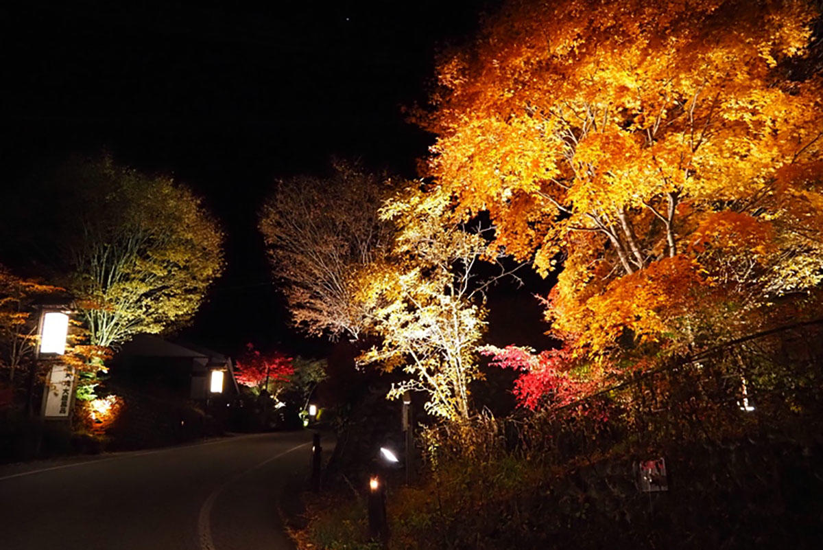 pic_okuhida-koyo202503.jpg