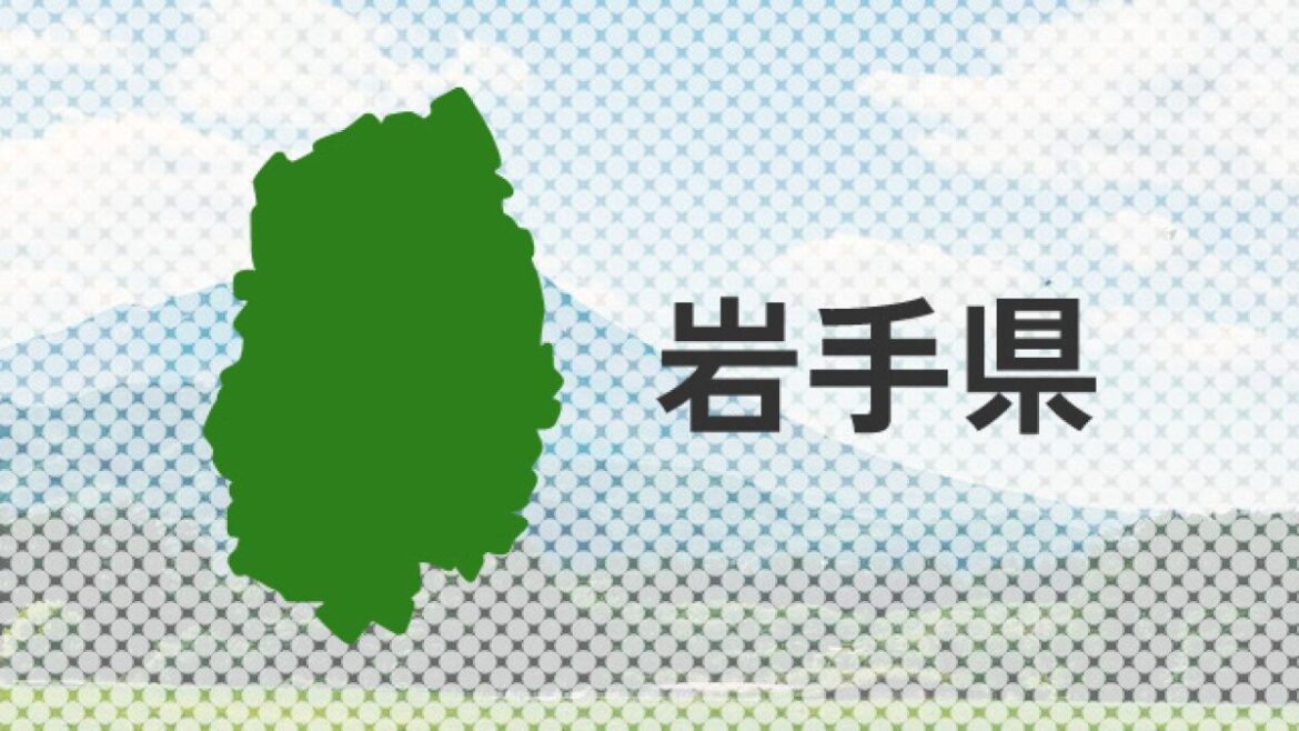 最低賃金引き上げ「弱者切り捨てだ」 労働者は期待の声も、企業は経営圧迫を懸念 岩手県、1031円へ - 岩手日報