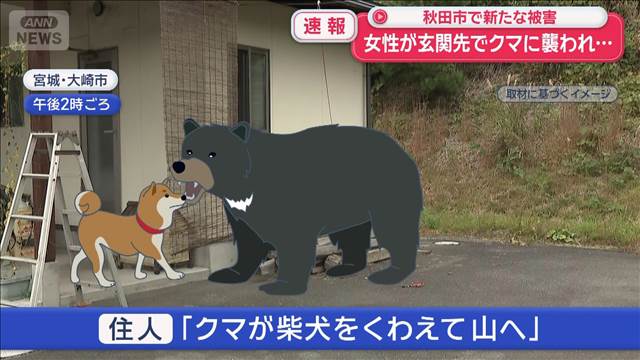 【速報】女性が玄関先でクマに襲われ… 秋田市で新たな被害 | khb東日本放送 みんながカメラマン