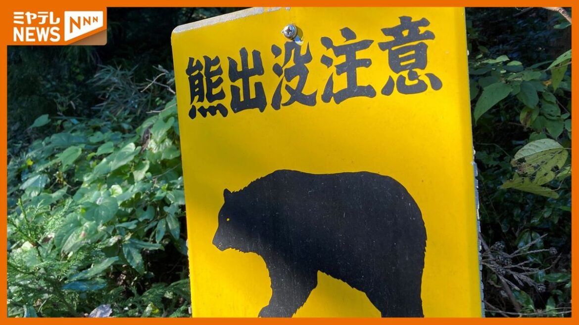 共有