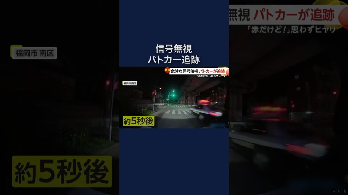 猛スピードで信号無視した車をパトカーが追跡する瞬間も「150キロ出てた」#shorts