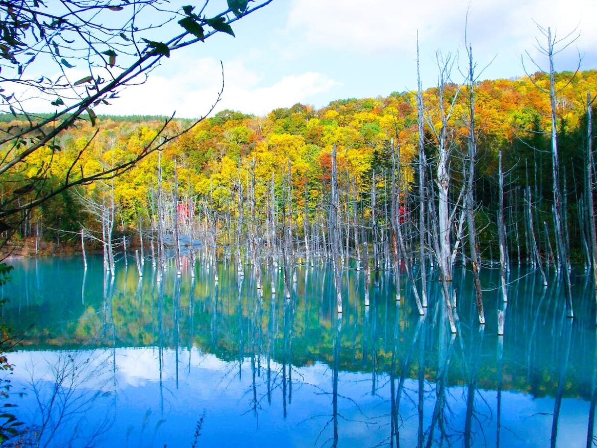 「北海道」に詳しい旅のプロが感動した！ 秋の行楽に本気で推したい名所3選【2025年最新】 [北海道の観光・旅行] All About