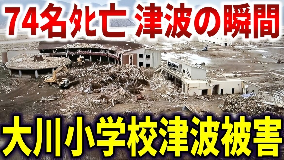 大川小学校津波被害の真相。教員の指示で逃げ遅れた児童74名最後の瞬間【ゆっくり解説】 大川小学校津波被害の真相。教員の指示で逃げ遅れた児童74名最後の瞬間【ゆっくり解説】
