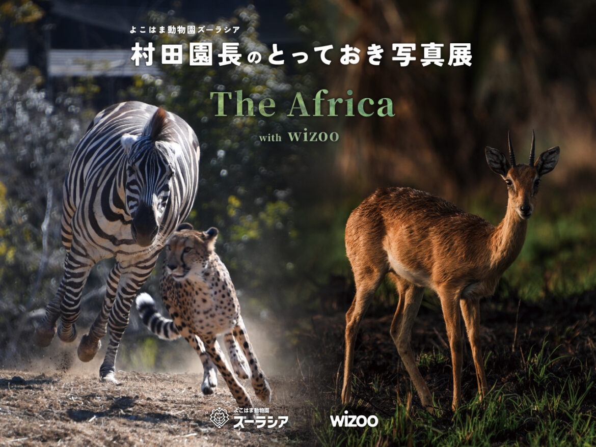 特別企画:村田園長のとっておき写真展 with wizoo ~The Africa~ 特別企画:村田園長のとっておき写真展 with wizoo ~The Africa~
