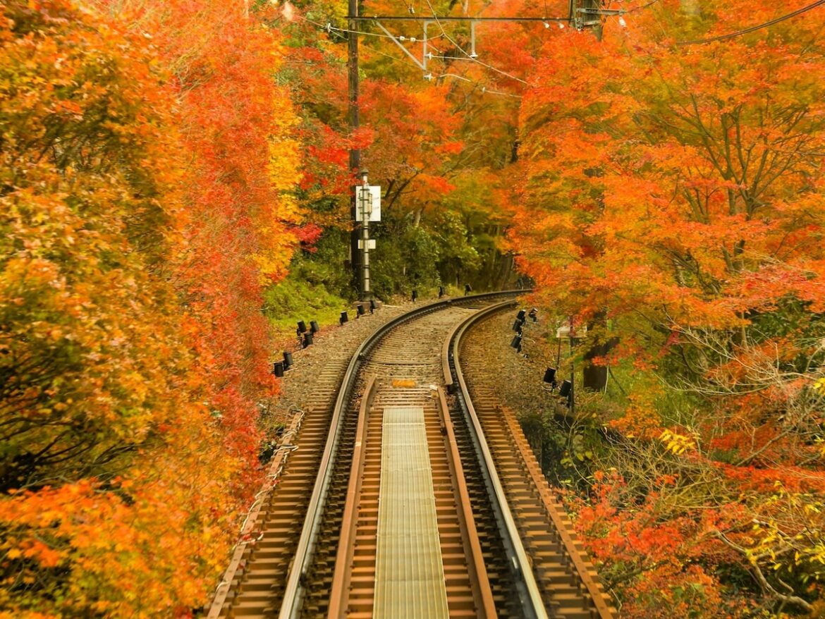 「鉄道」に詳しい旅のプロが感動した！ 秋の行楽に本気で推したい名所3選【2025年最新】 [鉄道] All About